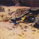 Illustration for article titled Its A Bantha Hoard Of Awesome emStar Wars: Episode VII/em Concept Art!